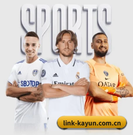 link-kayun.com.cn APP